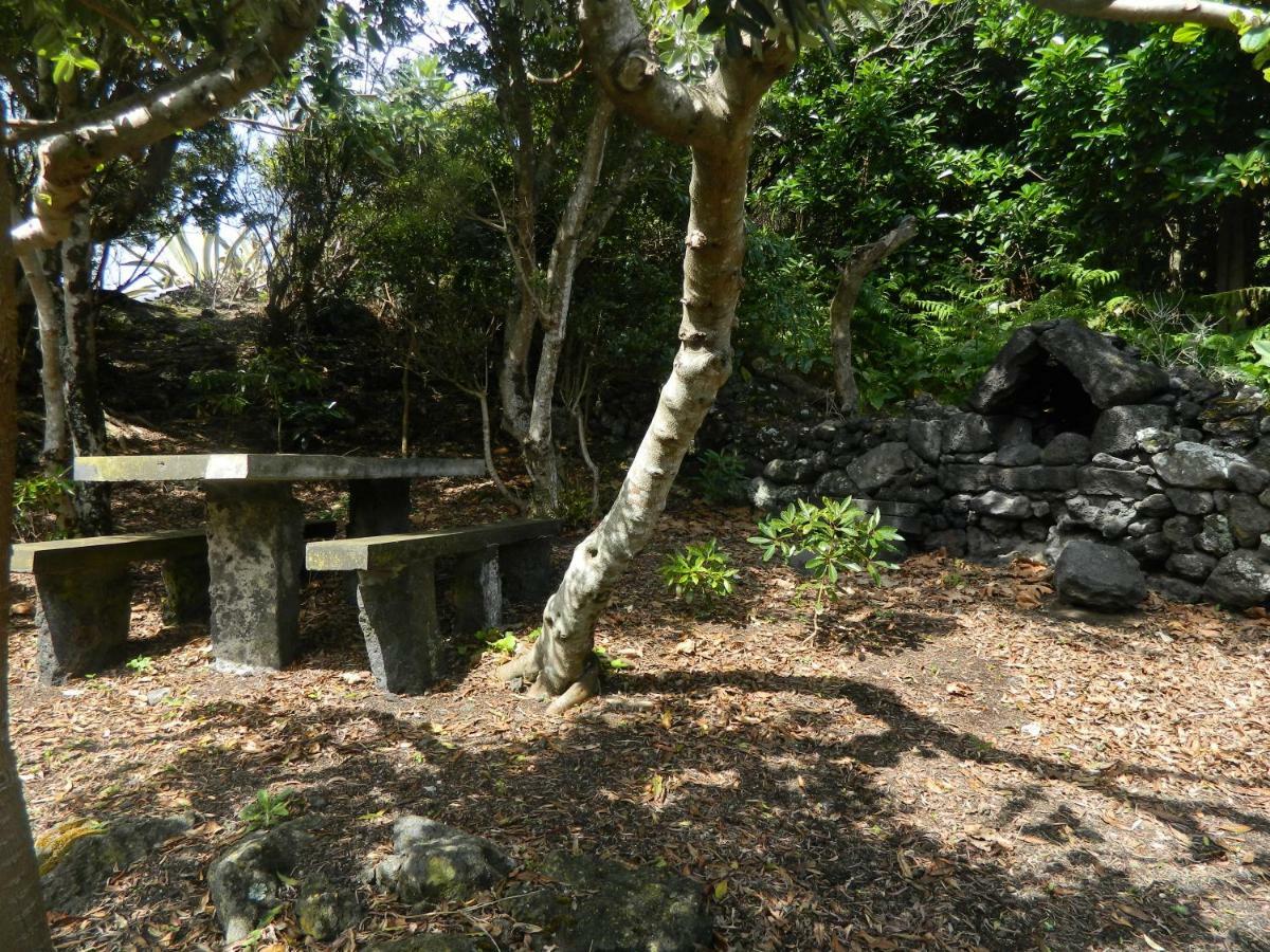 Calheta de NesquimAdega Ninho Da Cagarra别墅 外观 照片