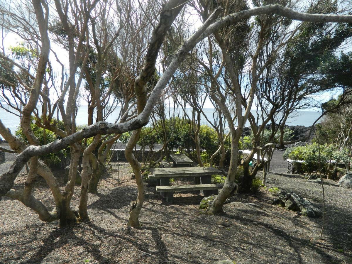 Calheta de NesquimAdega Ninho Da Cagarra别墅 外观 照片